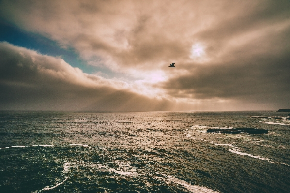 Beach sea coast water Photo