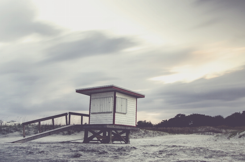 海滩 海 海岸 户外的